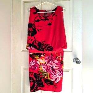 Sandra Darren Bold Floral Sleeveless Dress